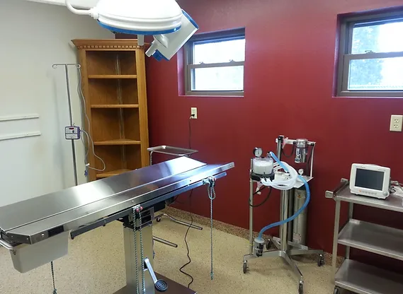 LARGE, ORGANIZED SURGICAL SUITE